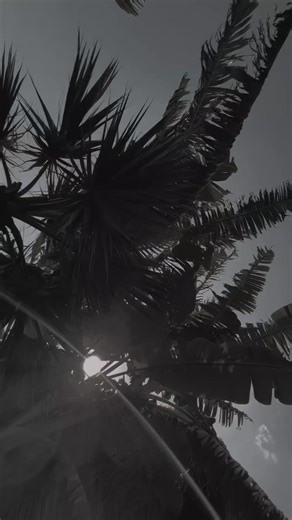 Gospel Songs and Worship Music Collection