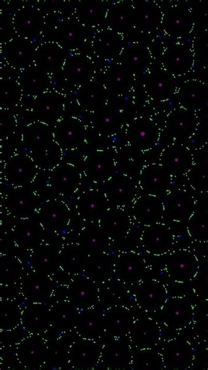 Particle Life Simulation - %s