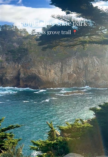 Explore Marine Life at Point Lobos State Park