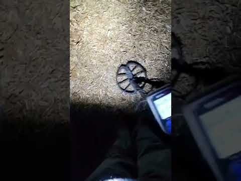 Slim Pickings at the Playground: Night Metal Detecting with the Nokta Simplex