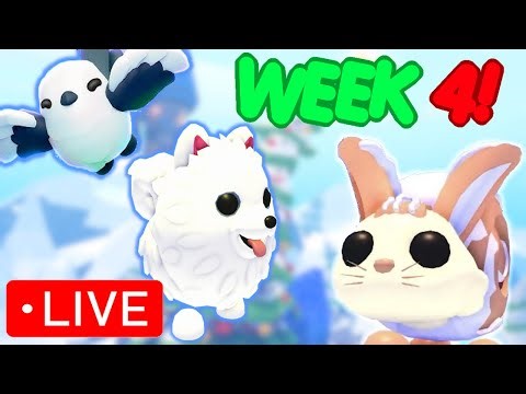 Week 4 Christmas Update! | Cinnabunny, Samoyed , Snow Fairy | Roblox Adopt Me 2025 | Riivv3r