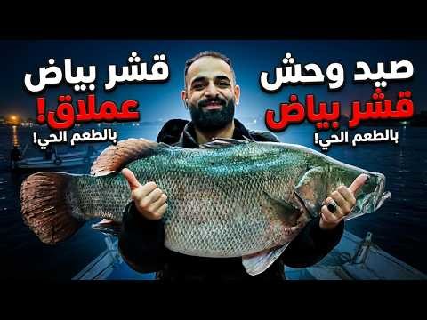 A breathtaking battle! Catching a giant Nile perch with live bait! (The moment the fish came out!...