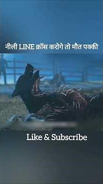 don't cross the blue line #shorts