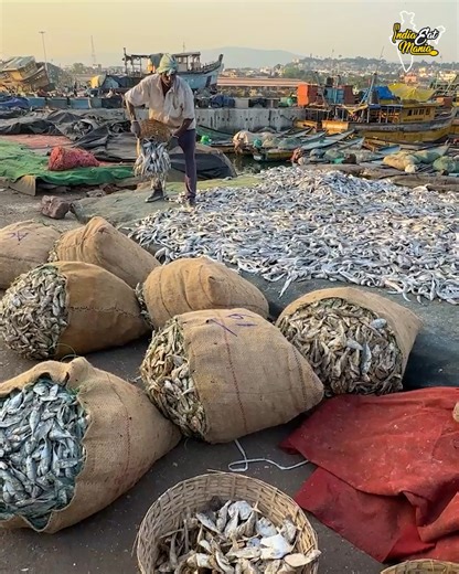World's Biggest Fish Market Daily Crores Fishes Sells | India Eat Mania