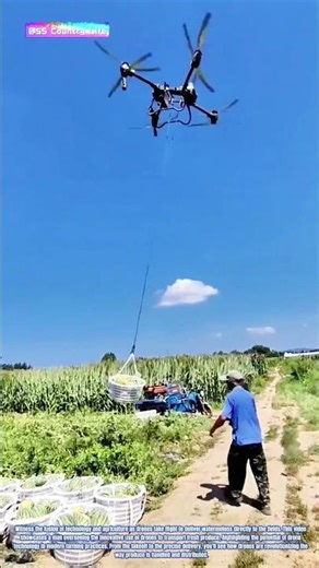 Aerial Harvest: Drone-Delivered Watermelons to the Fields