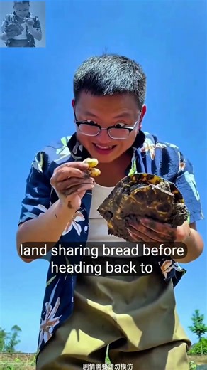 “You Won’t Believe This Girl Catching Turtles in the Mud 😲 | Viral Village Moment!”#usashort#shorts