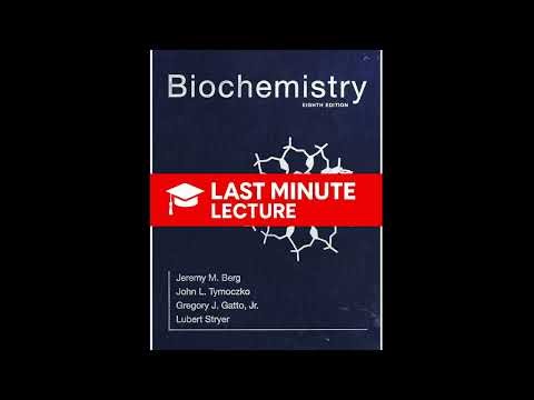 RNA Synthesis & Processing | Chapter 29 – Biochemistry (8th)