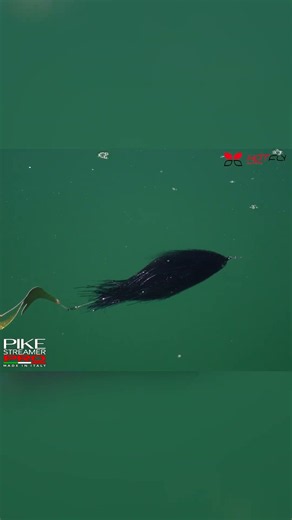 PIKE STREAMER PRO - Hotfly