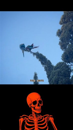 #halo