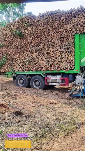 How Log Trucks Roll Onto a Pontoon Ferry for River Transit