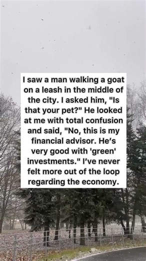 My Financial Advisor 🐐 #funny #shorts #comedy