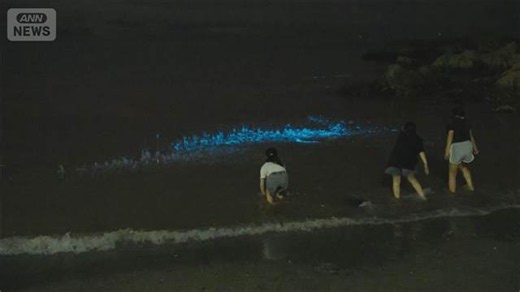 白波に混じって青白い帯状の光が… 海岸に「夜光虫」発生 神奈川・横須賀市