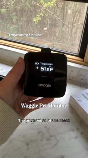 Your pet’s safety is still waiting... why not make it happen? 🐶 With Waggle’s Pet Monitor and RV Mini Cam, you can stay connected, monitor temperature, and get real-time alerts—wherever the road takes you. ✅ Peace of mind is just a tap away. 🎁 Use code WAG50 to get 50% OFF your Pet Monitor now! | Waggle