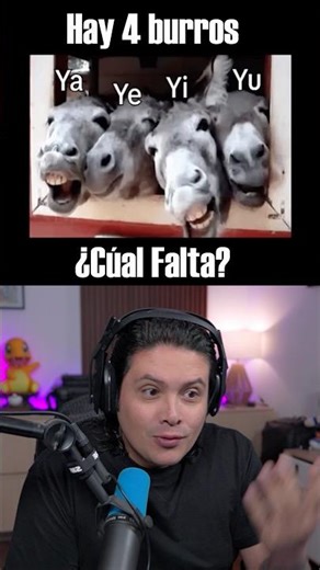 ¿Cuántos Burros hay?