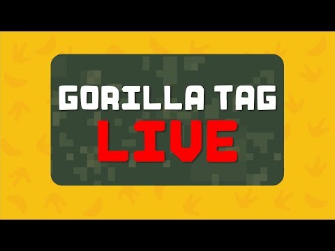 Surprising Gorilla Tag Live Streamers!