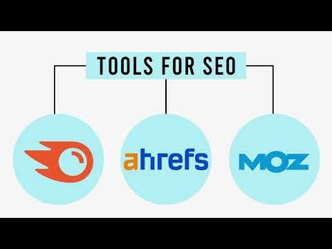 SEO Reporting & Google Algorithm Updates | Measure SEO Success & Stay Ahead