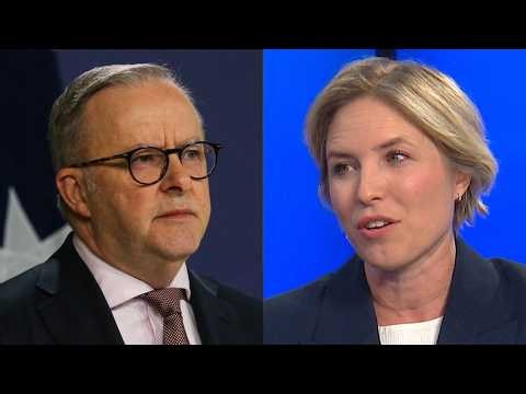 ‘Completely outrageous’: Albanese grilled by Liberal Senator for Point Piper dinner attendance