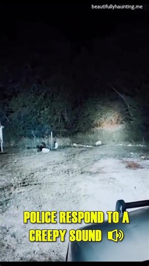 Police Respond To FRIGHTENING Screams