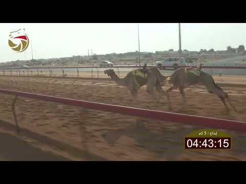 سباق الإيذاع – لهباب 28-12-2025 ش16 الشبابي لـ مهير علي راشد سويلم 7:39