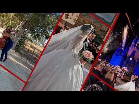 Weddings Gone Wild || The Most Hilarious Fails You’ve Ever Seen!