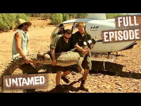 Crocodile Too Close To Humans Needs Removing From River 🐊 | Full Episode