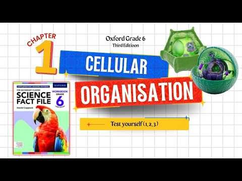 Cellular Organisation Explained | Grade 6 Science | Chapter 1 Test Yourselfscience fact file grade 6