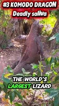 Top 5 Most DANGEROUS Predators on Earth