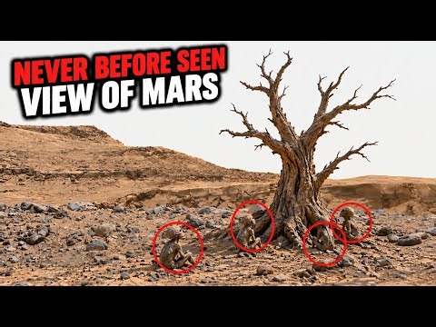 NASA’s Perseverance Rover Reveals a Never-Before-Seen View of Mars | Mars in 4K