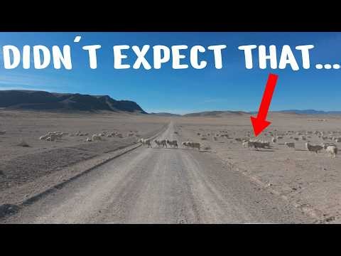 Nobody found this geocache for 8 years (and that wasn't even the best part) | GeoTrek