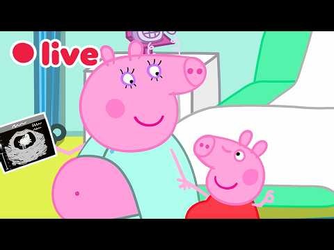 🔴 LIVE: Cutest Baby Evie Moments 🍼 | Peppa Pig’s Best Big Sister Moments ✨ | 4K