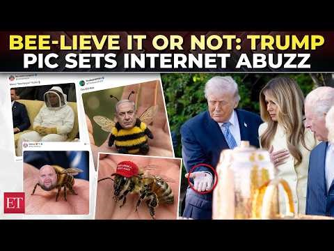 ‘Men are never too old to impress their girl’: Trump’s bee pic sparks memefest|Epic Melania reaction