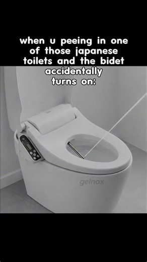 Japanese toilets | iron man meme