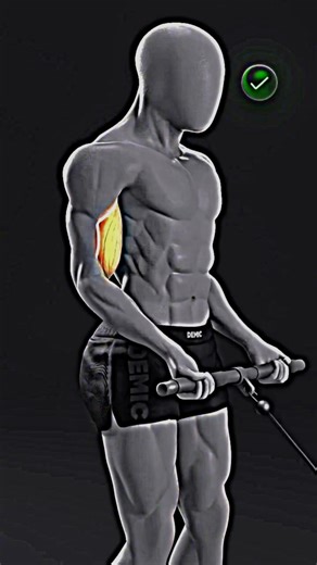 The Best Way to Build Bigger Biceps