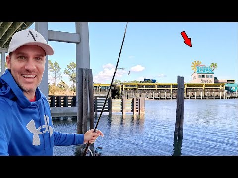 Catching Big Fish in Front of a Famous Restaurant! *Catch, Clean, & Cook*