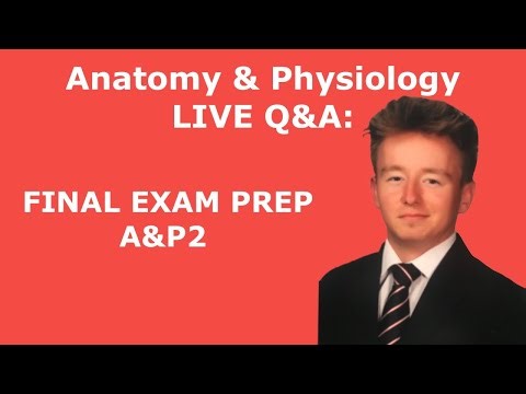 Master THESE A&P 2 Topics to CRUSH the FINAL EXAM