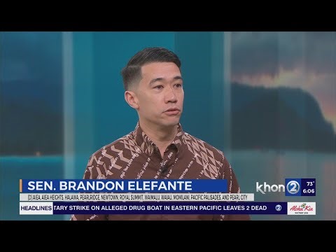 Hawaii State Senator Brandon Elefante