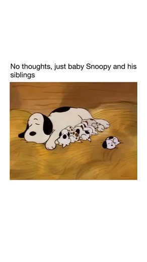 Factsdailyy on Instagram: "A quick feed clean up 🧽 Snoopy is a cartoon character from the Peanuts comic strip, created by Charles M. Schulz. He first appeared in 1950 as Charlie Brown’s pet beagle, but he quickly became one of the most recognizable characters in the strip. While Snoopy is technically a dog, he often behaves more like a person, walking on two legs, typing on his doghouse, and living entirely inside his imagination. What makes Snoopy special is his rich fantasy life. He regularly