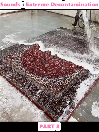 Extreme Decontamination of a Maggot Infested Rug