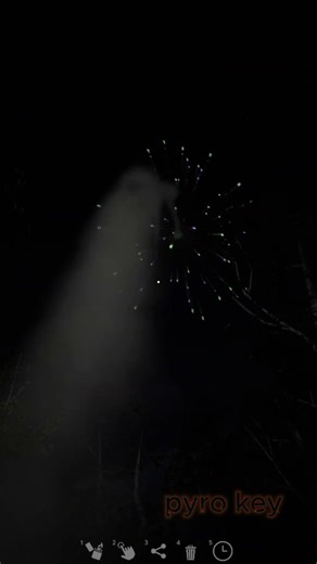 Blue green dahlia with gold plum #fireworks