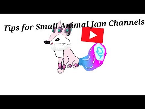 Tips for Small Animal Jam Channels 
