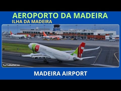 🟢Madeira Airport 3 AirBus A330🟢
