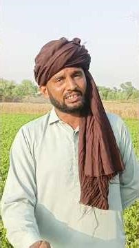 Best Feed for Goats.#bakrifarming #biggestbeetalgoats #purebeetalgoat #beautifullgoats #beetalgoat