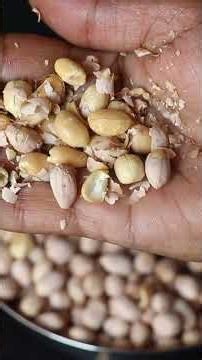 Salted Peanuts | No Fry Bakery Style Salted Peanuts Recipe