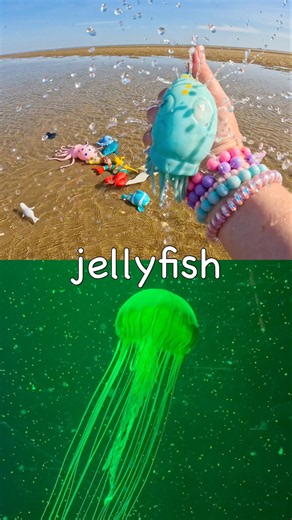 Kids Learn | Sea Animal Names at the Beach: Manta Ray Jellyfish Oyster Tiger Shark Orca