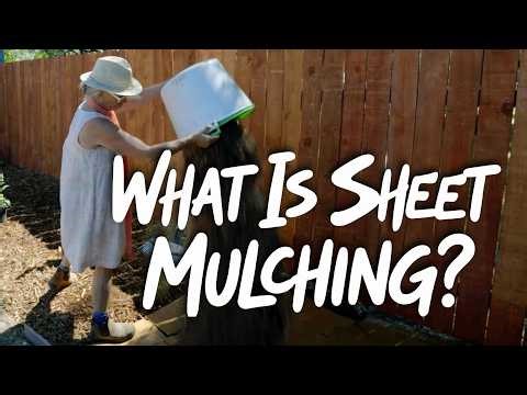 Cardboard Mulch = No More Weeds (Sheet Mulching Method!)