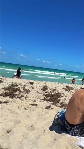 🇺🇸 GREAT DAY IN MIAMI BEACH Florida