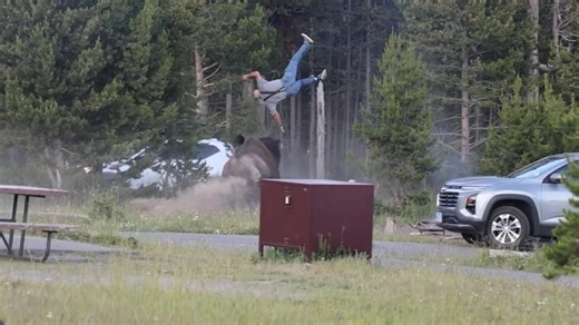 Yellowstone officials share details after bison attacks man