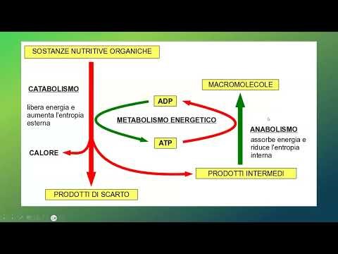 La cellula e la teoria cellulare