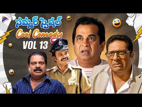 Summer Special Cool Comedy Scenes | Best Telugu Comedy Scenes | VOL 13 | Brahmanandam | Sunil | TFN