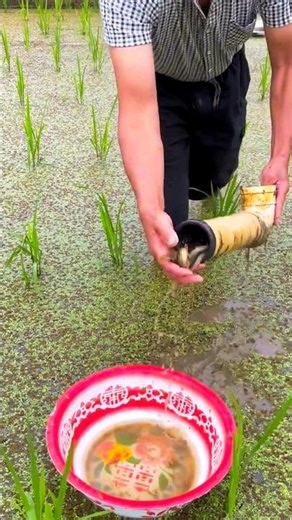 WOW 🤯 Amazing catch 🎣🤯 #villagefishing #viralvideo #trendingnow